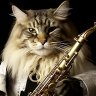 Katzenmusiker